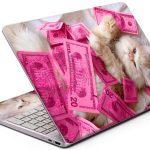 HP Laptop Skin 15.6 inch Cat with Money-0