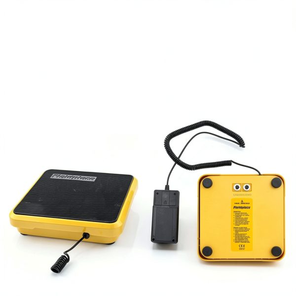 Standard Plumbing Supply Industrial Floor Scale SRS1 with Remote-4