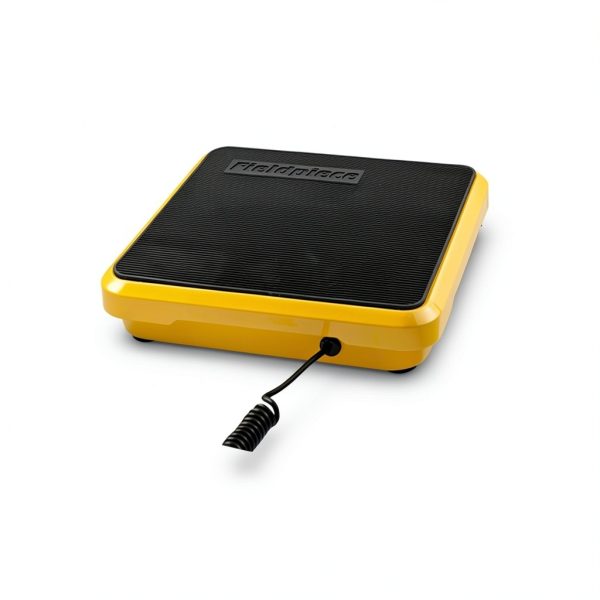 Standard Plumbing Supply Industrial Floor Scale SRS1 with Remote-3