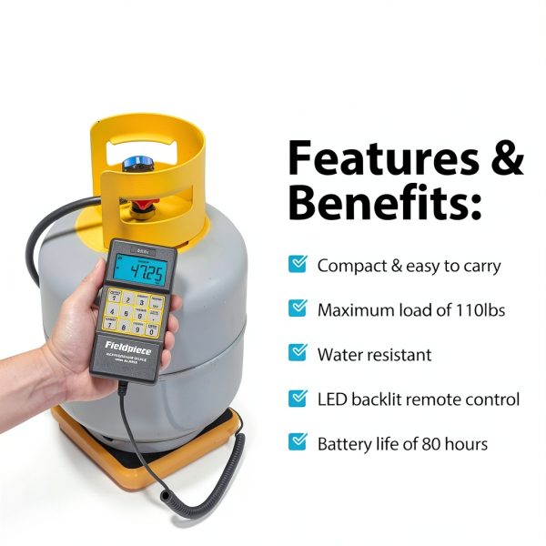 Standard Plumbing Supply Industrial Floor Scale SRS1 with Remote-1