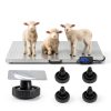 1100Lbs x 0.2Lbs Digital Livestock Scale Stainless Steel Non-Slip Platform Scale Electronic Heavy Duty Postal Shipping Scale for Large Pet Dog Goat Pig Cattle Sheep-4