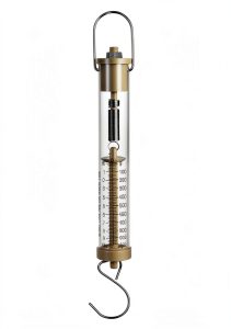EISCO Newton Force Meter Spring Scale - Max Capacity 10N, 1 kg, Dual Scale Labeled.-0