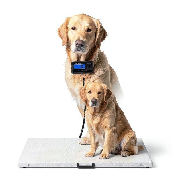 1100Lbs x 0.2Lbs Digital Livestock Scale Stainless Steel Non-Slip Platform Scale Electronic Heavy Duty Postal Shipping Scale for Large Pet Dog Goat Pig Cattle Sheep-2