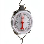 Precision Hanging Scale QWORK 110lb/50kg Heavy Duty Spring Scale-0