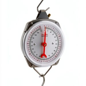 Precision Hanging Scale QWORK 110lb/50kg Heavy Duty Spring Scale-0